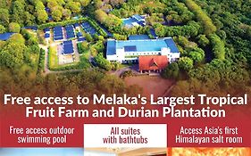 The Orchard & Spa Melaka I World Spa Awards Winner I Free Access To Outdoor Spa Pool Lubuk Cina